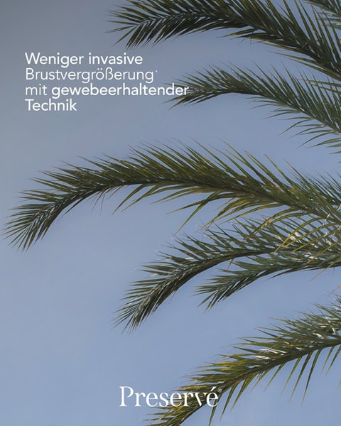 Palmen vor blauem Himmel mit Hinweis auf die weniger invasive Brustvergrößerung mit gewebeerhaltender Technik nach der Preservé™ Methode
